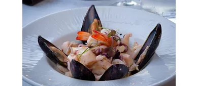 Lupo di Mare