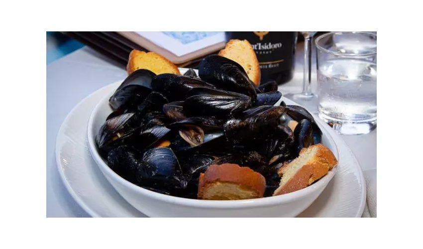 Lupo di Mare
