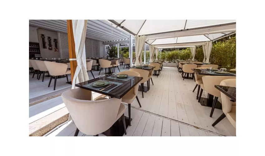 Coquille Sushi Restaurant