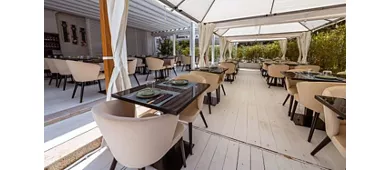 Coquille Sushi Restaurant