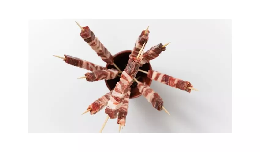 We Grill - Duchessa Jolanda