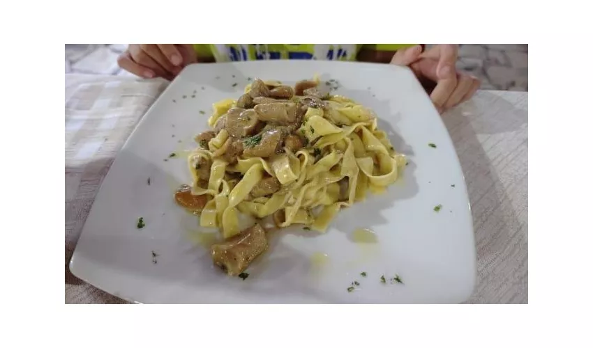 Trattoria Pizzeria Il Nibbio