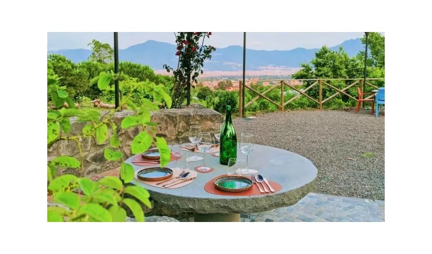 Vaisló Food&Wine Lab