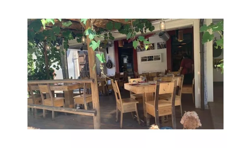 La Cantinetta di Bolgheri Enoteca