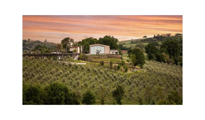 Country House Ristorante Oliveto sul Lago