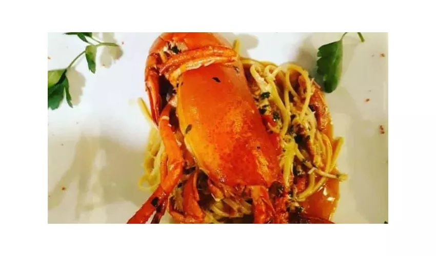 Magia del Gusto