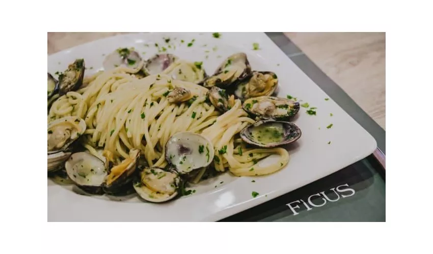 Ficus Ristorante Pizzeria