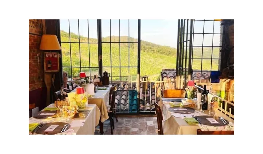 Azienda Agricola Borgo Santuletta