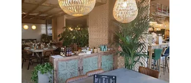 Palosanto