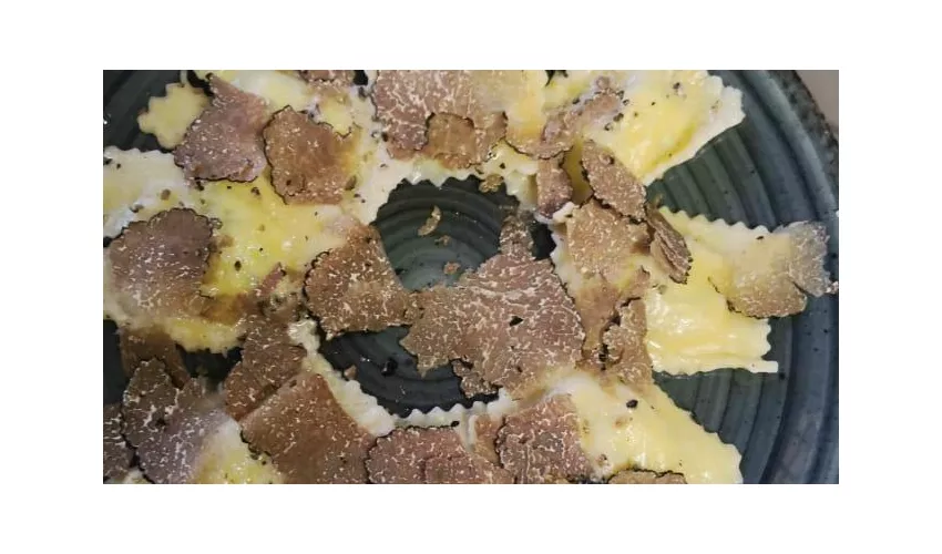 RistoPasta - Tutto Pasta