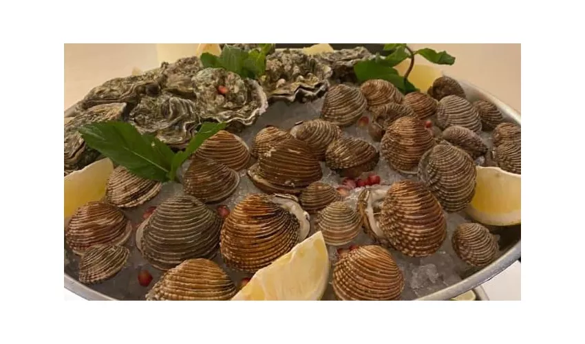 Pescado Seafood Restaurant