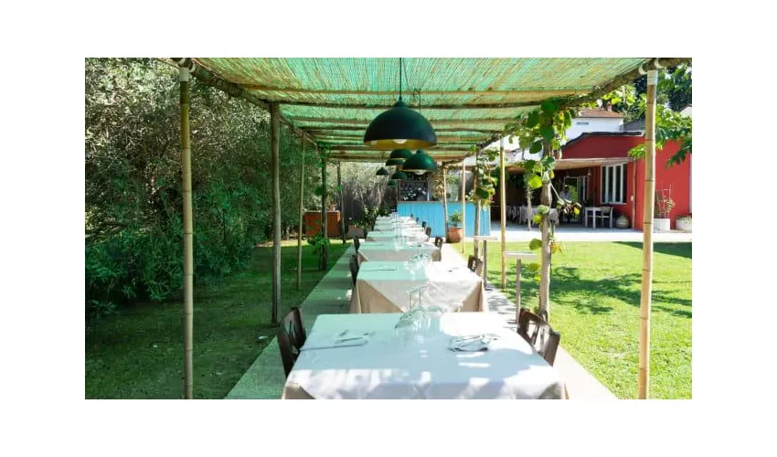 Ristorante Pizzeria IL GORDO