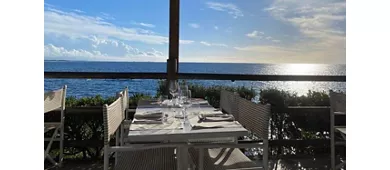 Il Cardellino