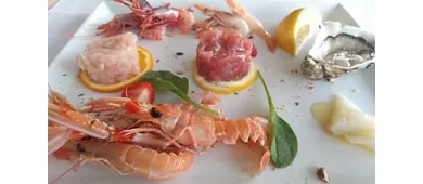 Il Cardellino