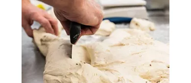 Raffilù - Grandi Pesci ed Altro