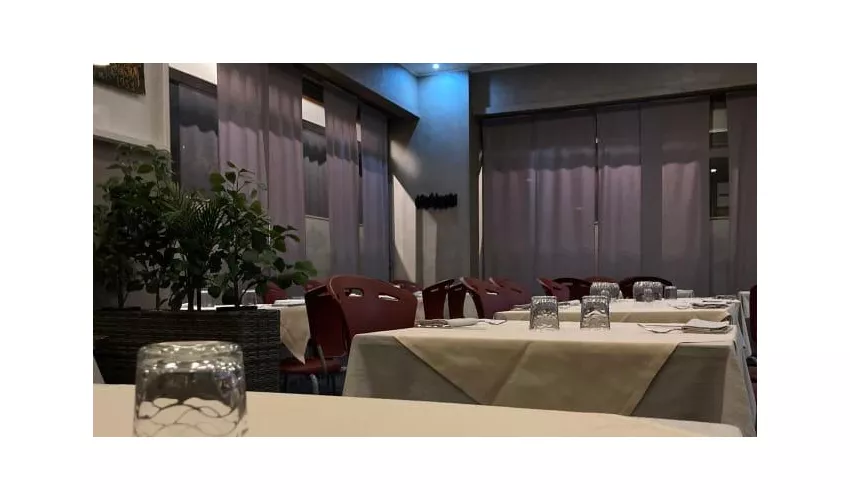 ai Gatti Matti
