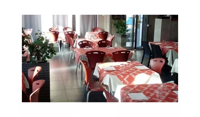 ai Gatti Matti