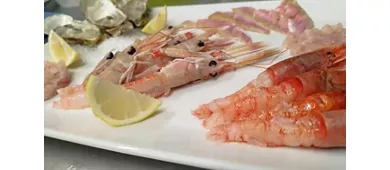 BAIARDI taverna