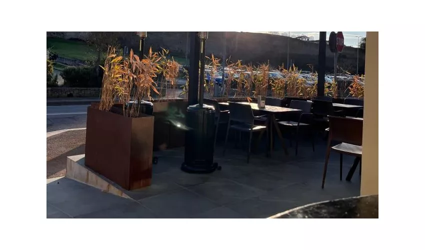 Urban Green