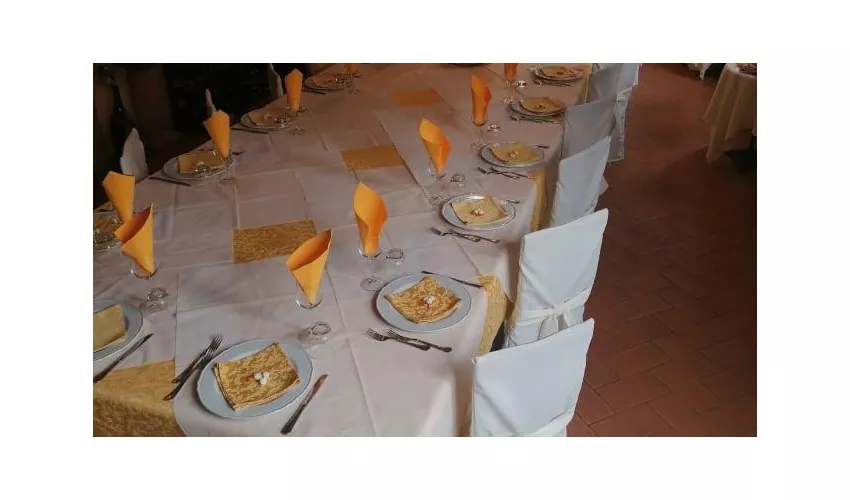 Domus Paradisi