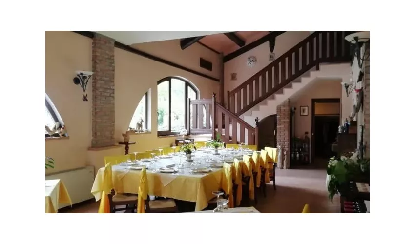 Domus Paradisi