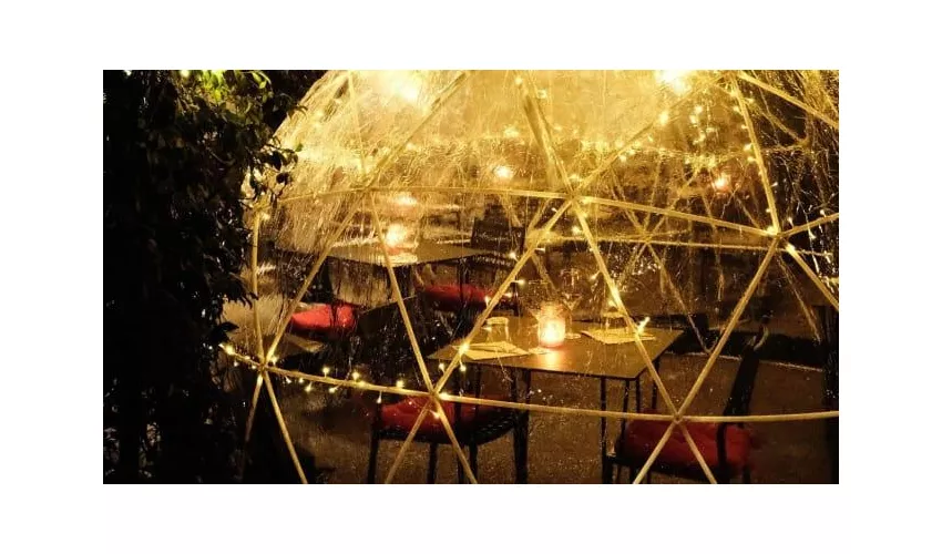 Bistrot Numero 7