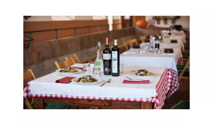 Agriturismo Monte La Puglia