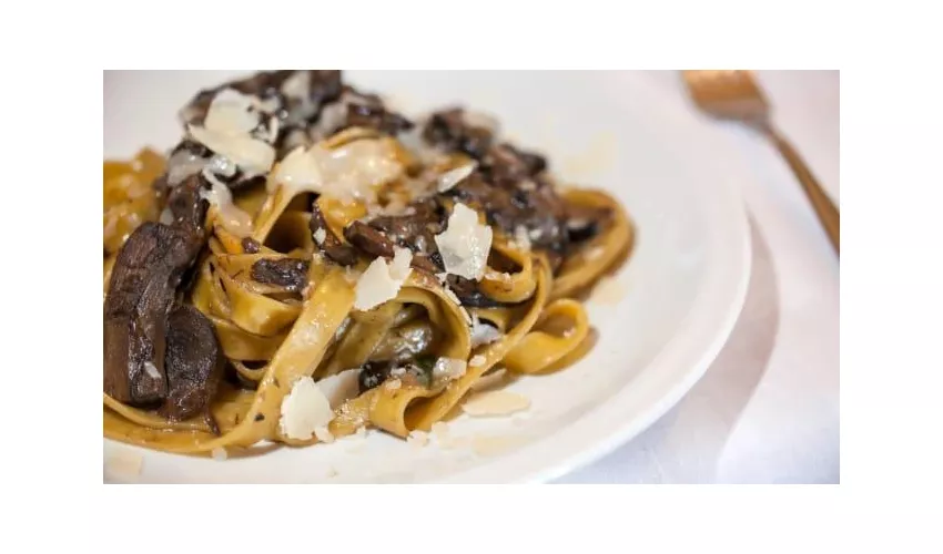 Agriturismo Monte La Puglia