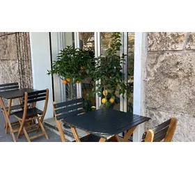 NERA DI BUFALA ROMA EUR