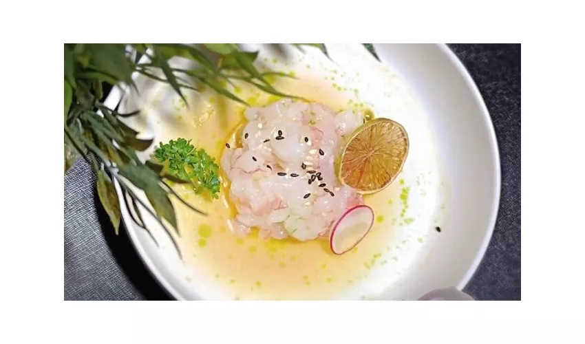 Toji Sushi Riccione