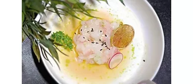Toji Sushi Riccione