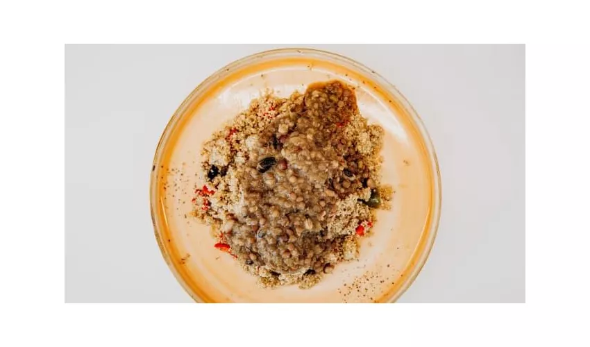 Collegio Santa Maria