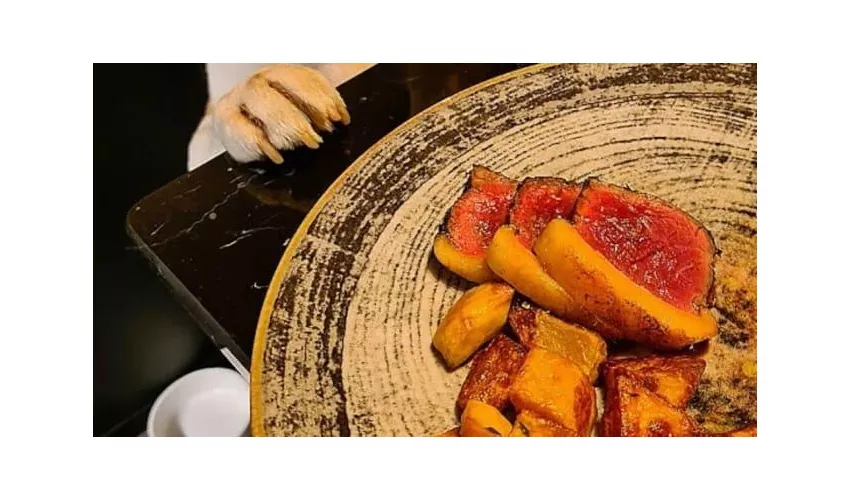Fiuto Restaurant | Drink & Food