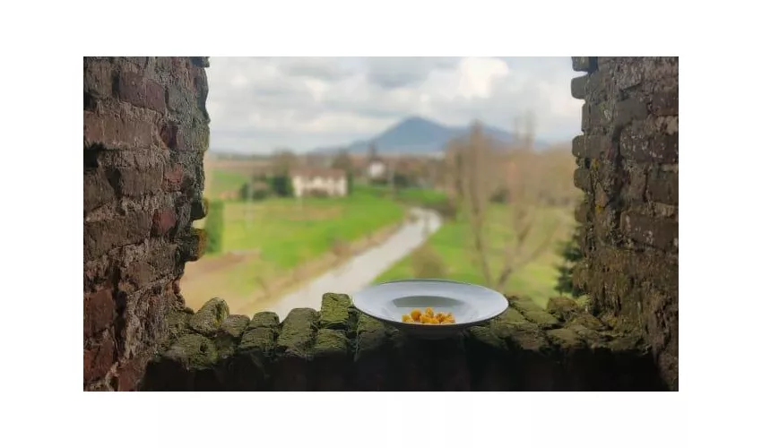 Castello Di Valbona