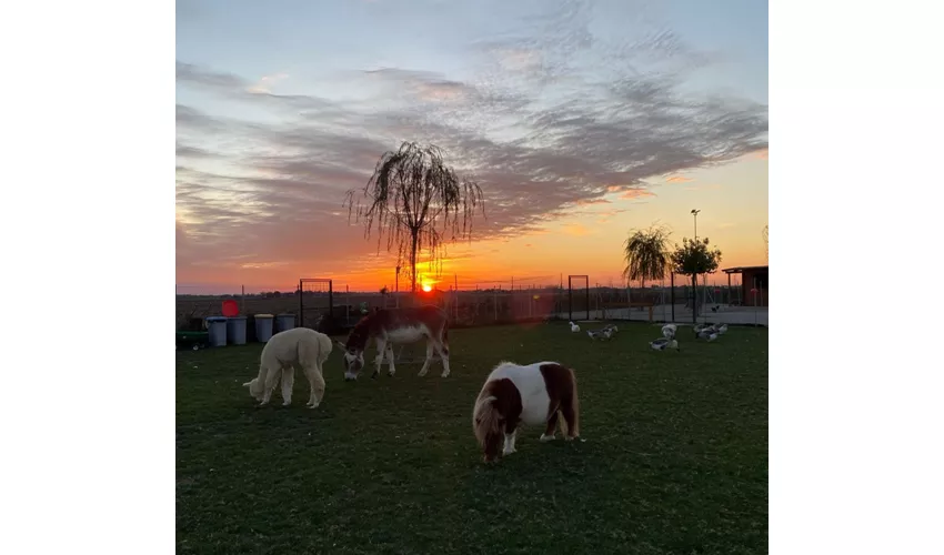 Società Agricola Saccona Agriturismo Tenuta dei Cria