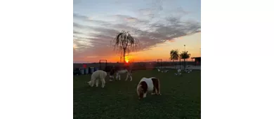 Società Agricola Saccona Agriturismo Tenuta dei Cria