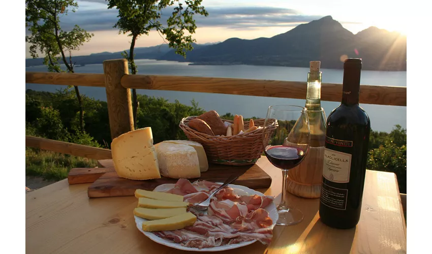 Agriturismo Scriciol