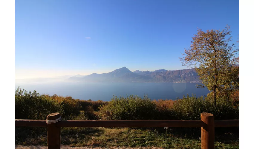 Agriturismo Scriciol