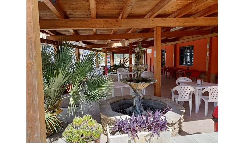 Bar La Palma