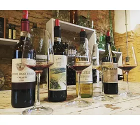 Le Fonti Azienda Agricola Winery