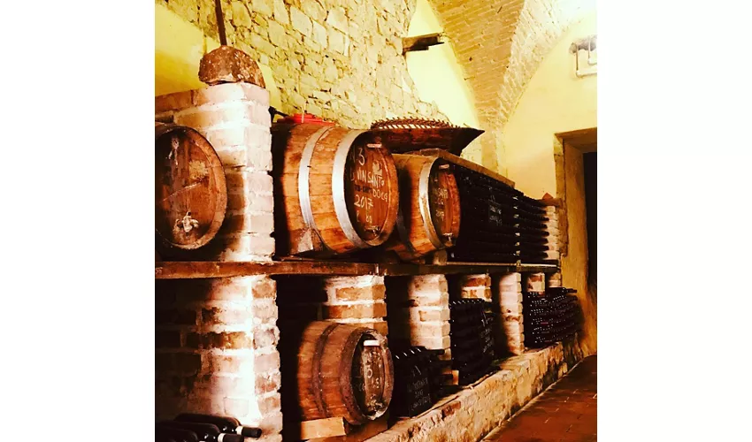 Le Fonti Azienda Agricola Winery