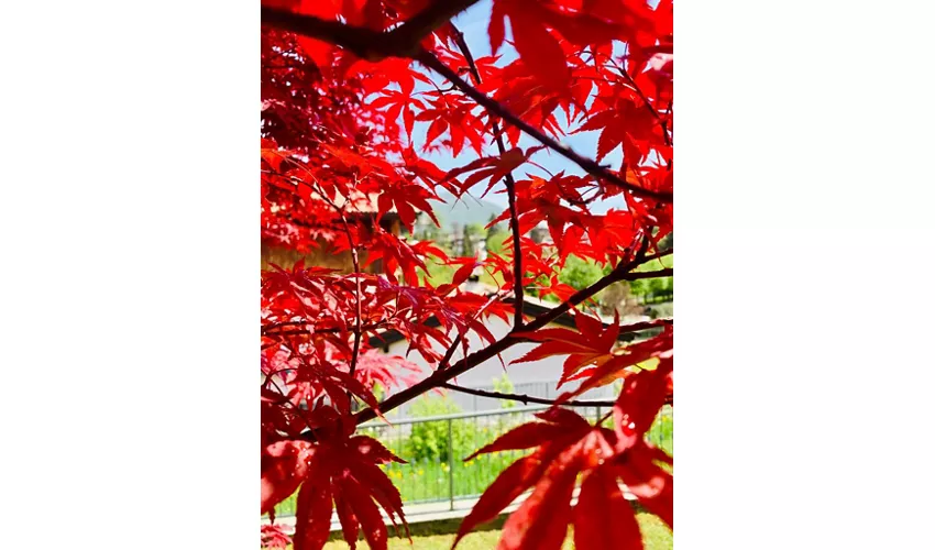 T'Ami Hotel Resort Spa