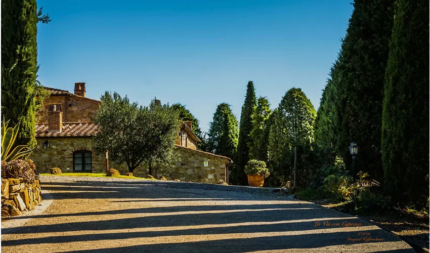 La via con Cypressi