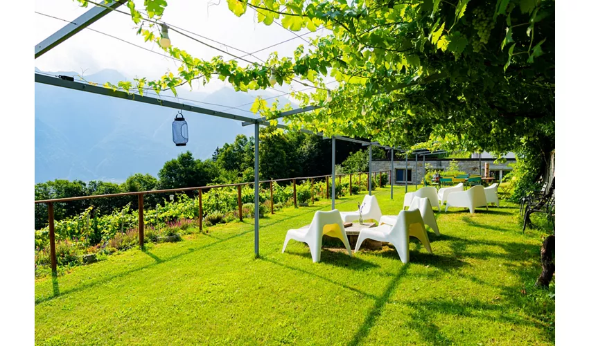 Agriturismo Edoardo Patrone
