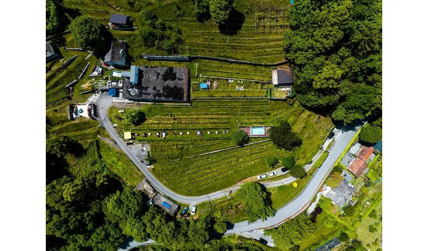 Agriturismo Edoardo Patrone