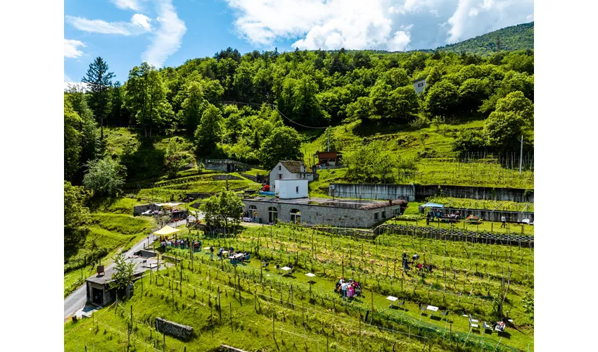 Agriturismo Edoardo Patrone