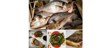 Osteria Cascina dei Fiori