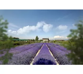Fattoria Didattica Agriturismo ‘La Chiave di Sol’