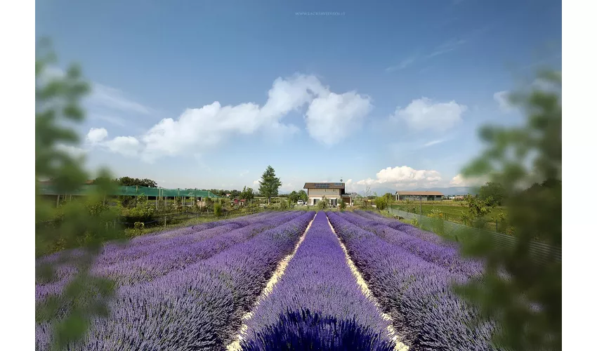 Fattoria Didattica Agriturismo ‘La Chiave di Sol’