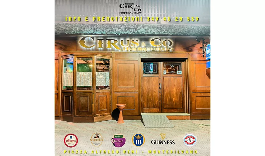 Cirus & Co